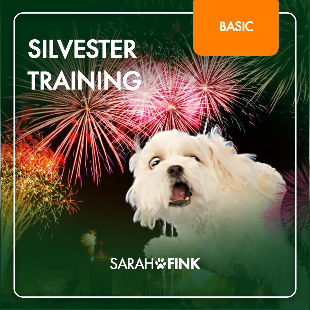 Silvester Training | Vortrag