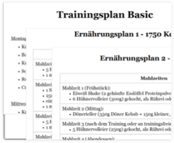 Simple Sixpack – E-Book mit Übungsvideos von Thomas Bluhm 10 Screenshot Trainingsplan Basic mit Ernährungsplan und Mahlzeiten für Simple Sixpack Programm