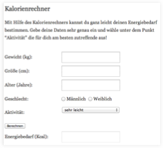 Simple Sixpack – E-Book mit Übungsvideos von Thomas Bluhm 12 Screenshot Kalorienrechner-Tool zur Berechnung des Kalorienbedarfs für Simple Sixpack Programm
