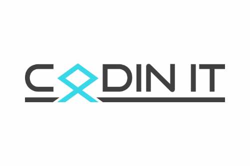 Sinn im Leben finden – Live-Workshop zur Resilienz von Anke Lüneburg 5 Logo Codin IT mit schwarzem Text und blauem Rauten-Symbol