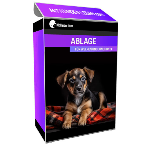 So lernt dein Hund mithilfe der Ablage Impulskontrolle 1 Produktbox mit Aufschrift „ABLAGE FÜR WELPEN UND JUNGHUNDE