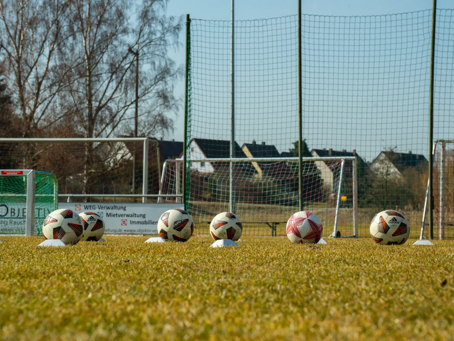 Fußbälle in einer Reihe auf Rasenplatz vor Fußballtor und Netz auf Trainingsgelände