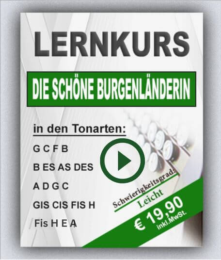 Kursübersicht Sommernachtswalzer Videokurs