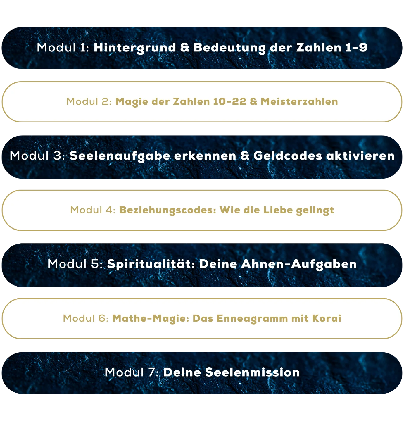 Detaillierte Modulübersicht Soul Codes mit 7 Kursinhalten in vertikaler Anordnung