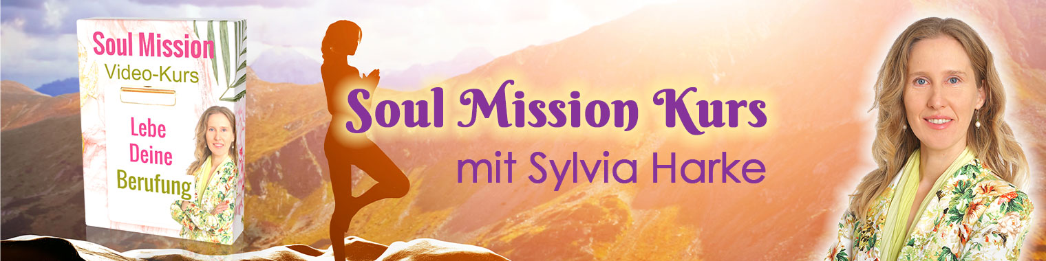 Soul Mission Kurs Banner Lebe Deine Vision und Berufung