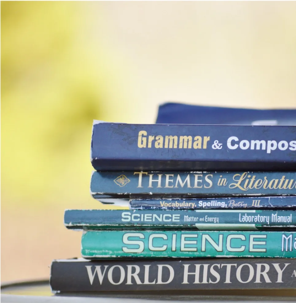Stapel von Schulbüchern mit Titeln wie Grammar & Composition, Science und World History