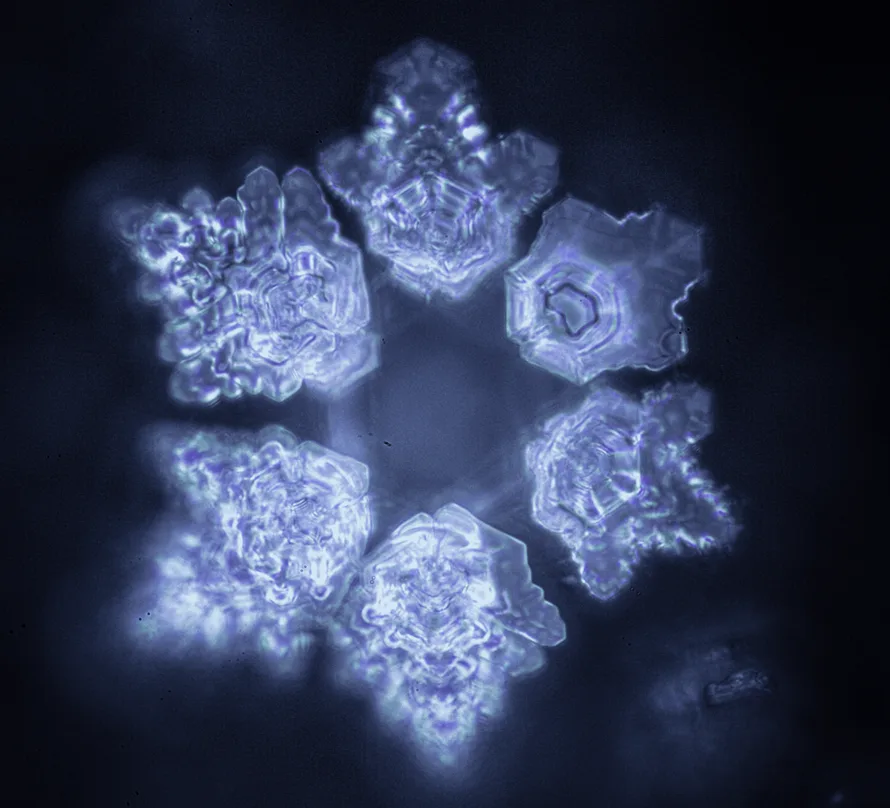 Mehrere blau leuchtende Eiskristalle in organischer Formation vor dunklem Hintergrund, verspielte Anordnung