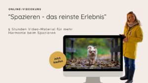Kursinhalt Videokurs Spaziergang Entspannung