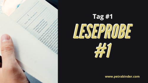 Kurs-Banner Tag 1 mit Buch und gelbem Text LESEPROBE #1