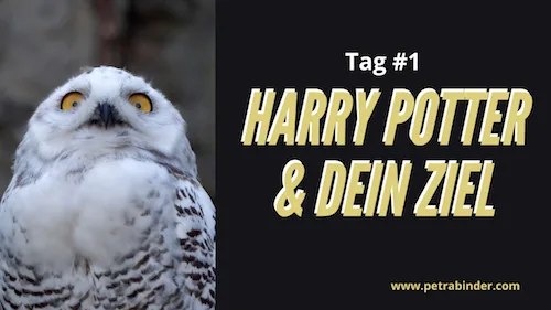 Kurs-Banner Tag 1 mit weißer Eule und gelbem Text HARRY POTTER & DEIN ZIEL