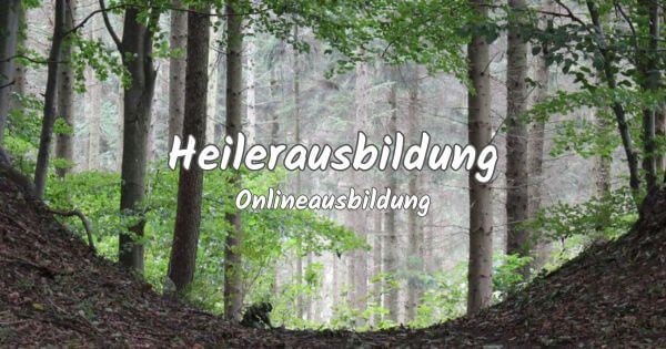 Waldweg zwischen Bäumen mit weißem Schriftzug zu Online-Heilerausbildung