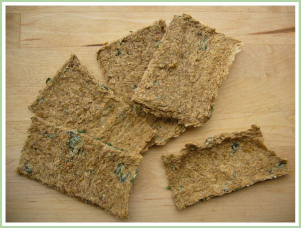 Kamut-Sprossen-Knäcke knuspriges Brot aus gekeimtem Getreide auf Holz