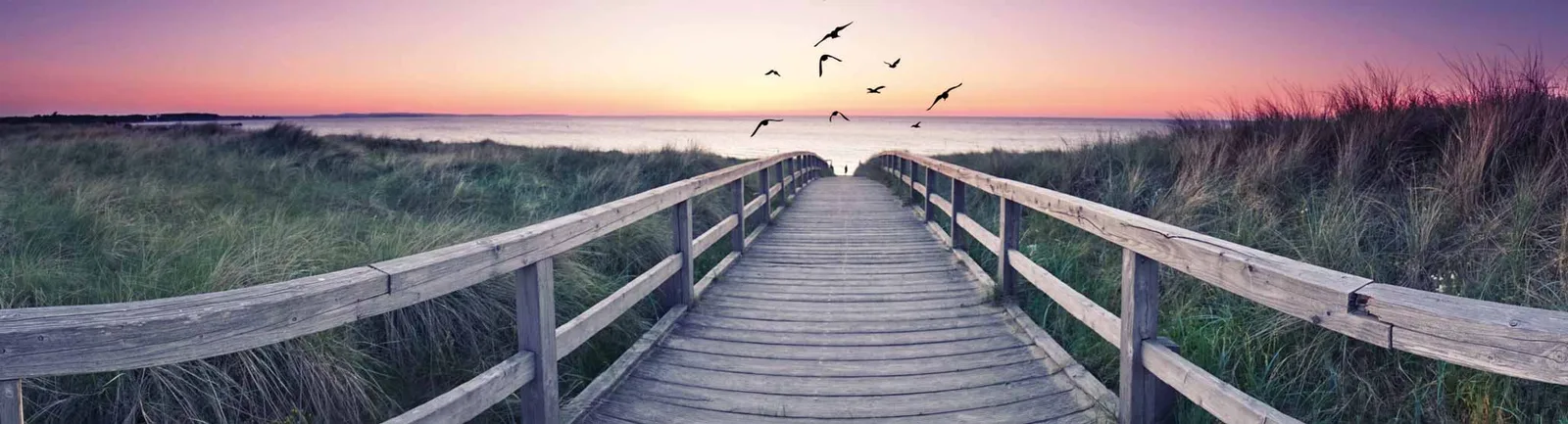 Holzsteg zum Meer bei Sonnenuntergang mit Vögeln am Himmel