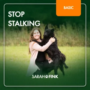 Stop Stalking Basic Kurs-Cover: Sarah Fink mit schwarzem Hund auf grüner Wiese, Kurs-Logo