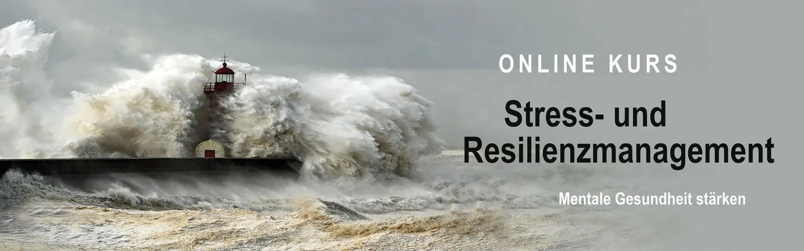 ONLINEKURS STRESSBEWÄLTIGUNG: RESILIENZ & STRESS REDUZIEREN, MENTALE GESUNDHEIT STÄRKEN, ENTSPANNTER WERDEN
