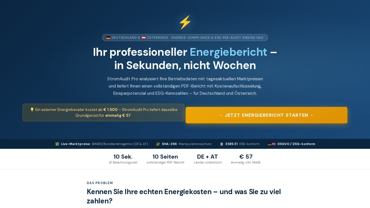 StromAudit Pro – Energiebericht für deutsche Unternehmen – Ansicht der Verkaufsseite