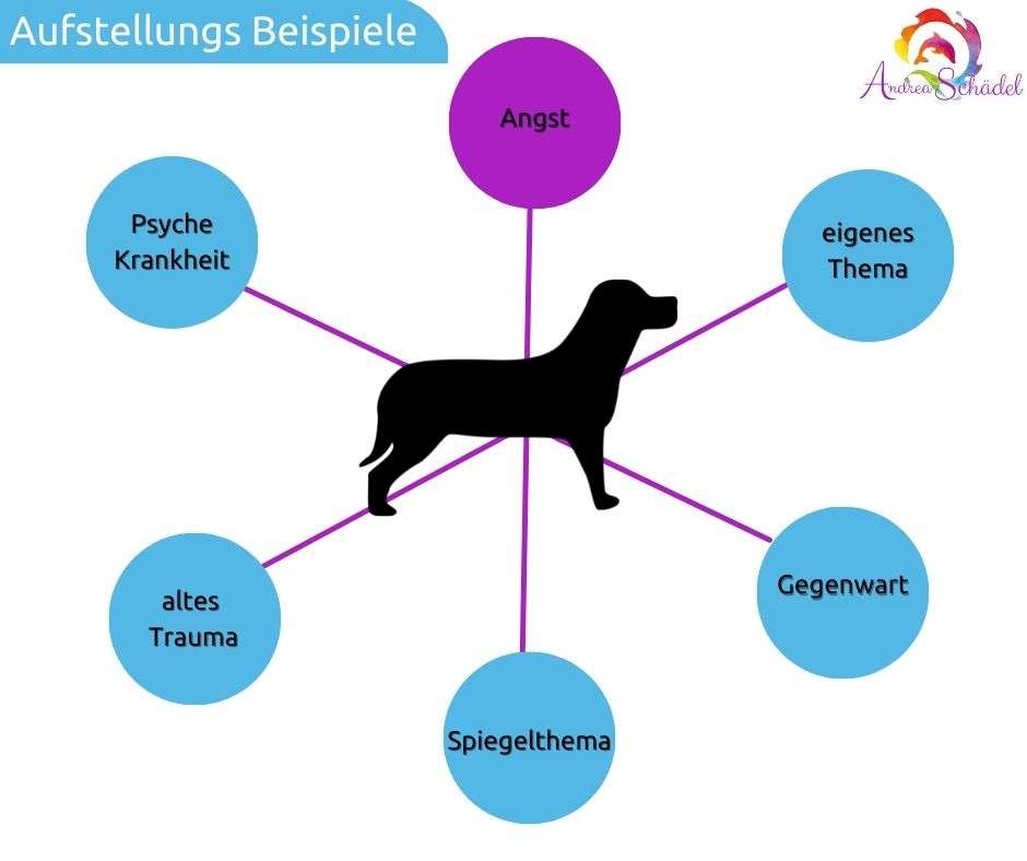 Aufstellungs Beispiele Angst mit Hund und verbundenen Themen wie Psyche, Trauma, Spiegelthema