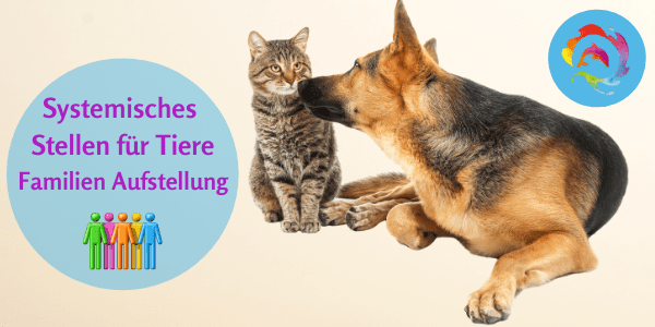 Online Seminar Systemisches Stellen für Tiere Familien Aufstellung mit Katze und Hund