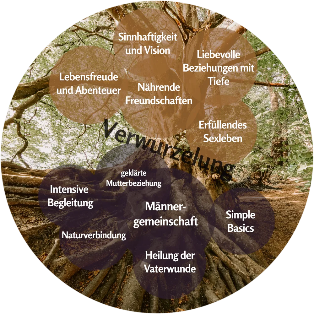 Baumwurzeln-Grafik mit beschrifteten Bereichen: Verwurzelung, Sinnhaftigkeit, Lebensfreude, Nährende Freundschaften, Heilung