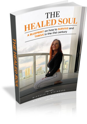 The Healed Soul Buch 3D-Mockup mit Autorin Michelle L. Stingard und Skyline im Fenster