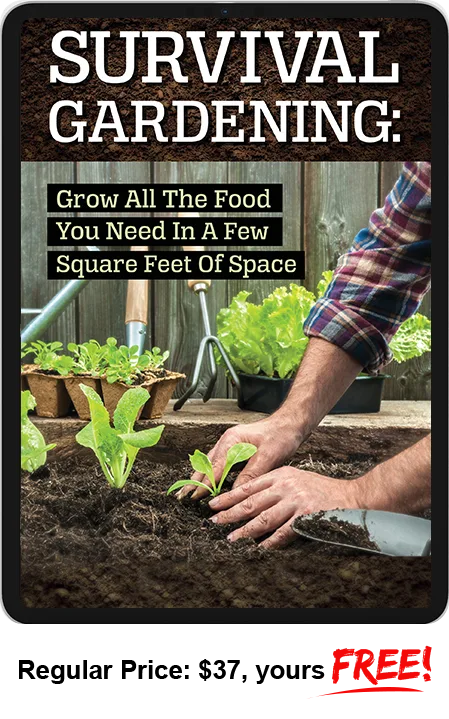 Survival Gardening eBook Cover mit Pflanzenanbau