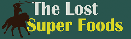 The Lost SuperFoods Logo mit Text und historischer Illustration