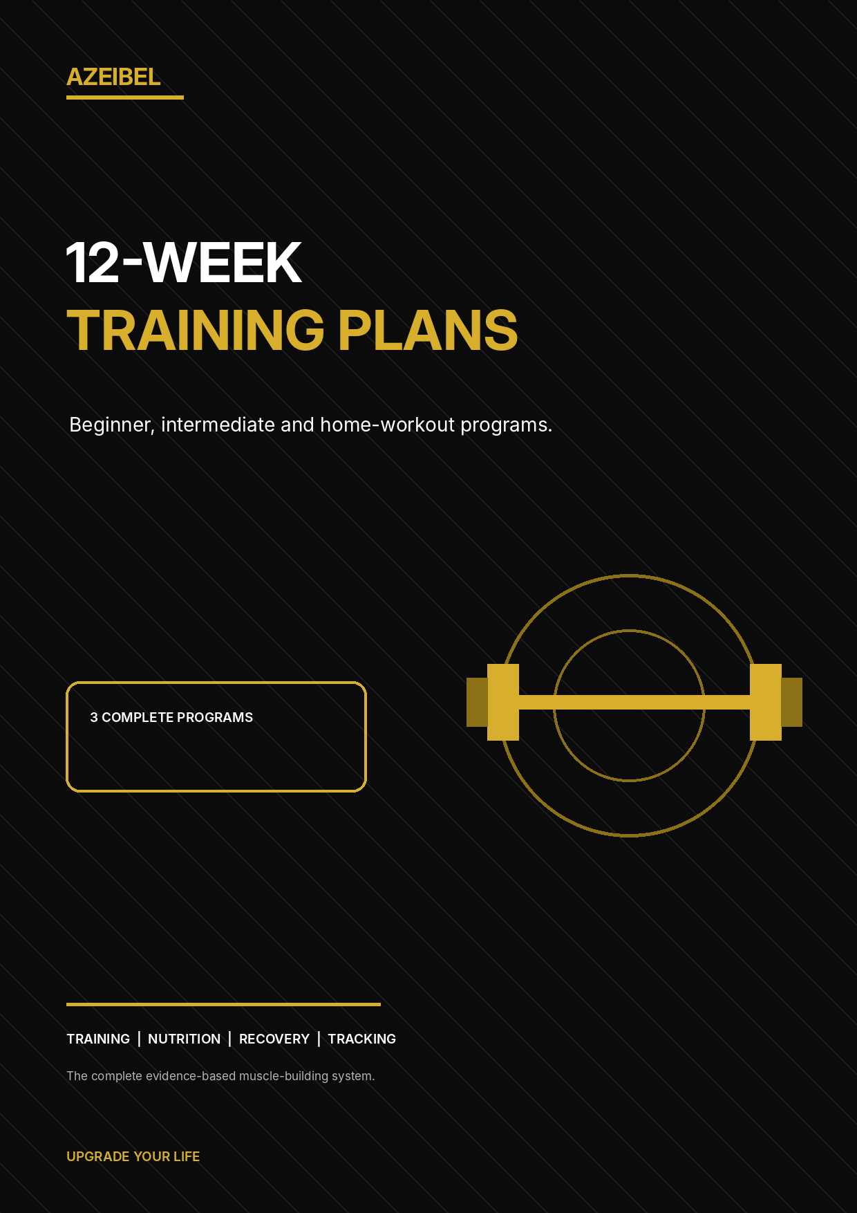 The Muscle Building Blueprint – E-Book zum Muskelaufbau 5 12-Week Training Plans Cover mit Anfänger-, Intermediate- und Home-Workout-Programmen
