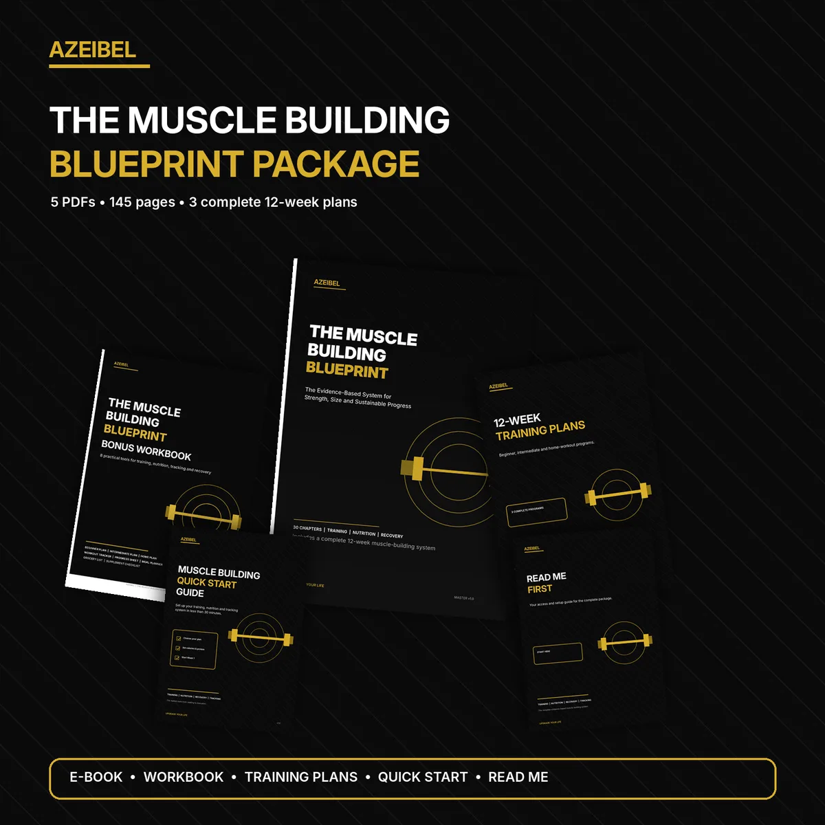 The Muscle Building Blueprint – E-Book zum Muskelaufbau 2 The Muscle Building Blueprint Package mit 5 PDFs, 145 Seiten und 3 Trainingsplänen von AZEIBEL