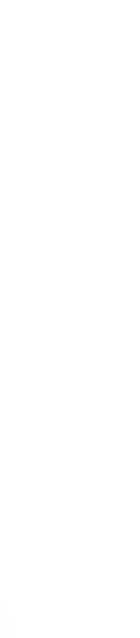 Transparente vertikale Grafik-Elemente in Creme-Tönen