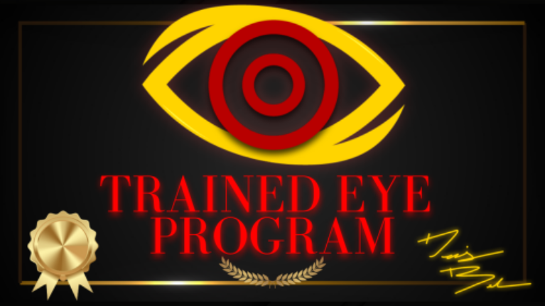 The Trained Eye – Videokurs für Auftreten als Mann von Denis Bel