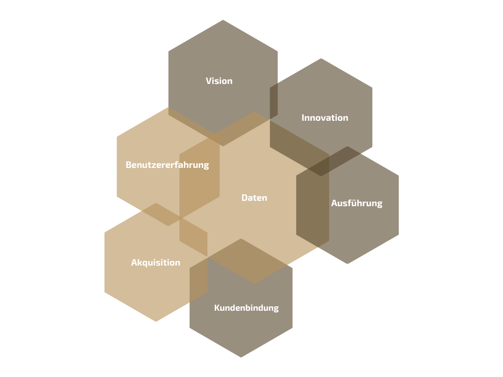 thinkCONVERSION® eComOS Framework Hexagon-Grafik mit sechs Säulen Vision Innovation Ausführung Kundenbindung Akquisition Benu