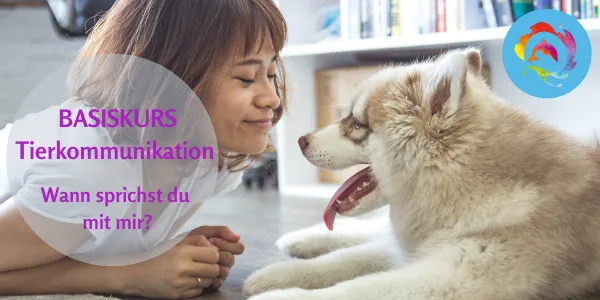 Basiskurs Tierkommunikation Teaser mit Frau und Husky