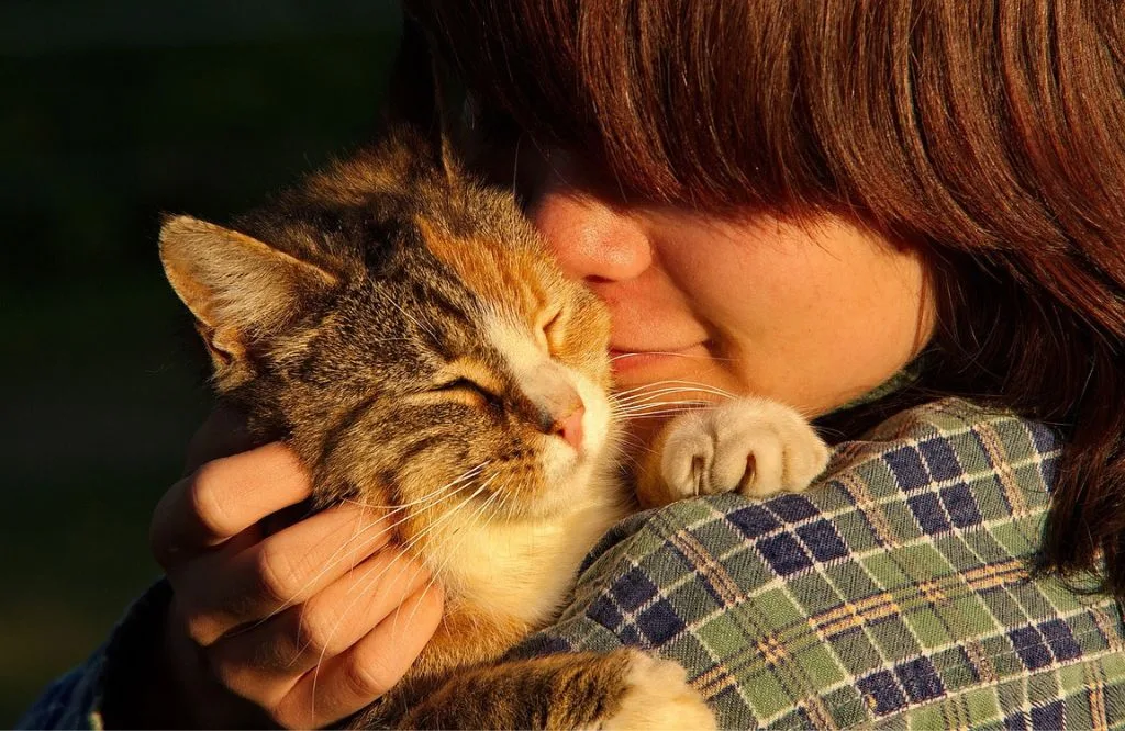 Frau mit braunen Haaren kuschelt zärtlich mit getigerte Hauskatze