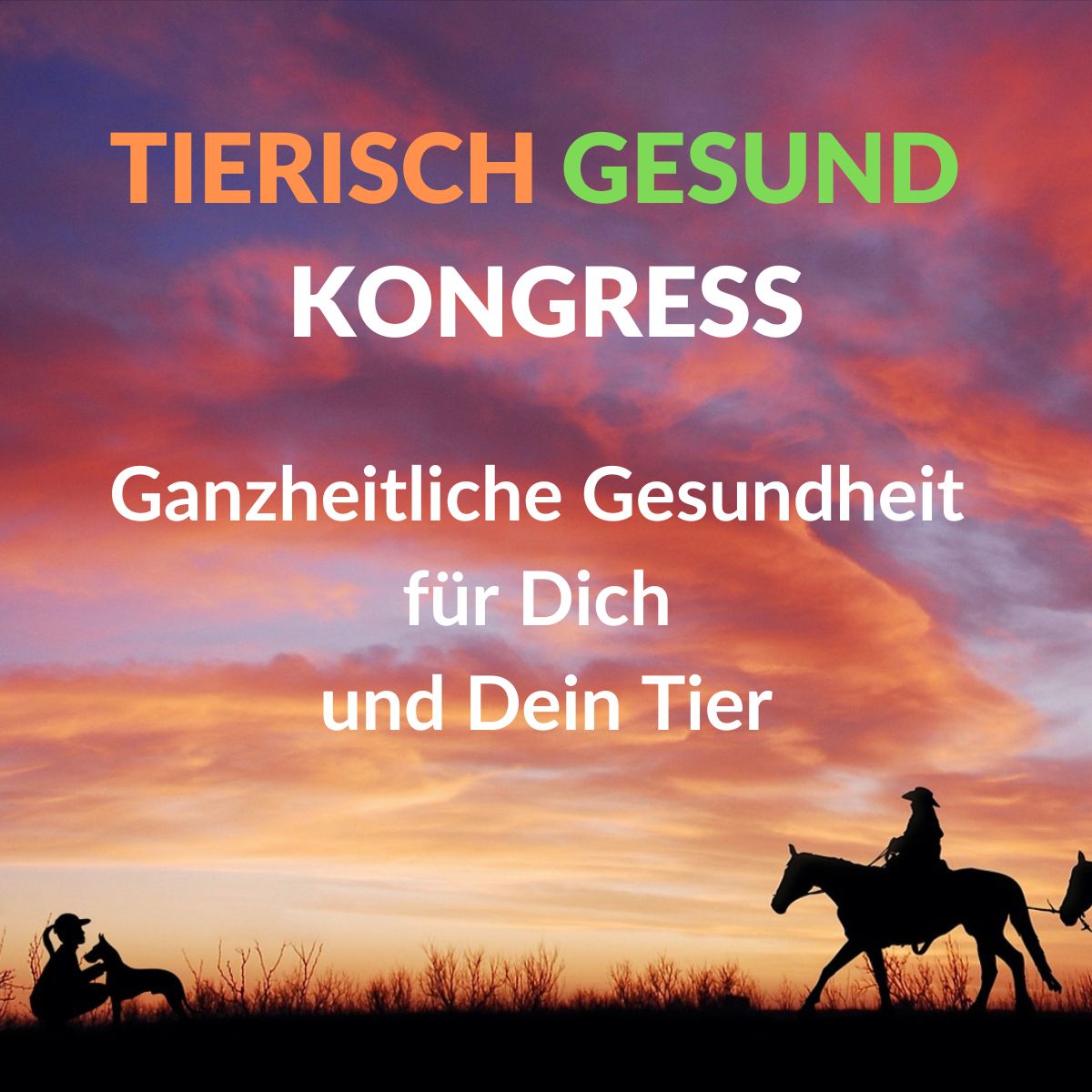 Hero-Banner Tierisch Gesund Kongress mit Sonnenuntergang und Silhouetten von Mensch, Hund und Pferd