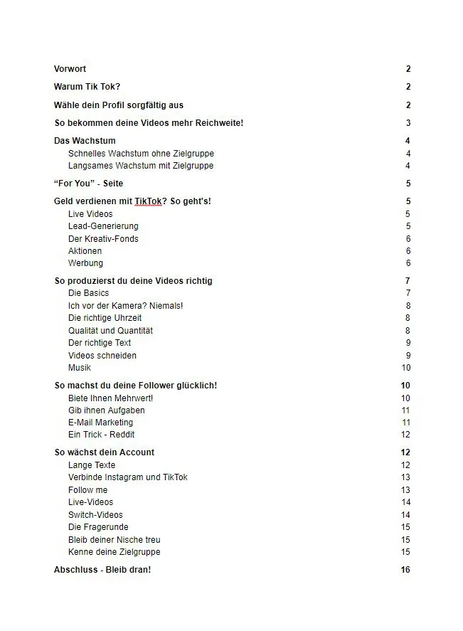 Inhaltsverzeichnis des TikTok Secrets E-Books mit Kapiteln zu Wachstum, Videoerstellung, Monetarisierung und Account-Optimier
