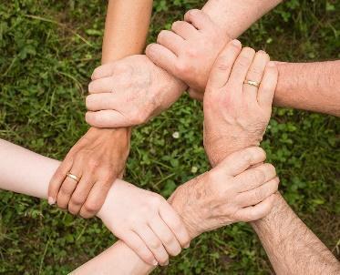 Vier Personen halten sich an den Unterarmen fest, Teamarbeit und Zusammenhalt auf grüner Wiese