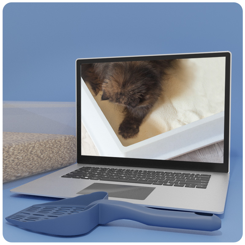 Mockup eines Laptops mit schwarzweißer Katze in Katzenklo auf dem Bildschirm, Katzenstreu-Schaufel und blauem Hintergrund