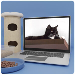 Produktabbildung des Videokurses mit schwarzer Katze auf Laptop-Bildschirm, Katzenkratzbaum, Futternapf und blauem Hintergrun
