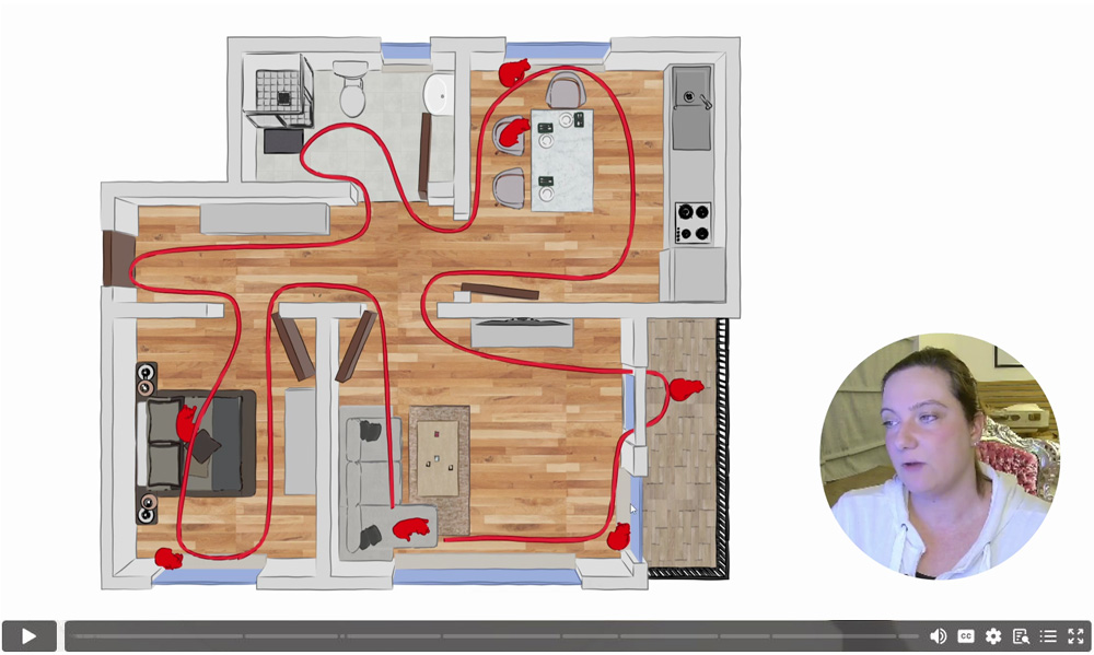Videostandbild einer Grundrisszeichnung einer Wohnung mit eingezeichnetem roten Bewegungspfad für Katzen und Porträt der Kurs