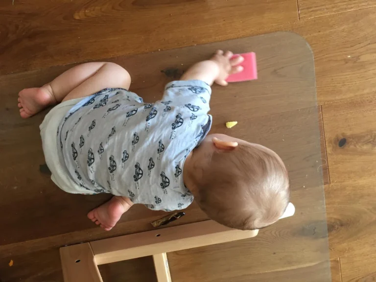 Tischlein deck dich! – Videokurs zum Essen mit Kleinkind