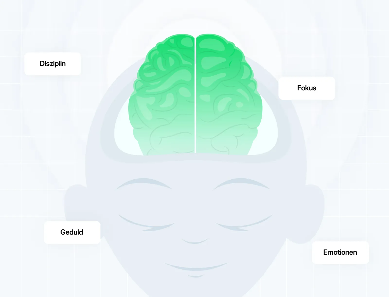Grafik eines grünen Gehirns mit Labels: Disziplin (links), Fokus (rechts), Geduld (unten), Emotionen (unten rechts)