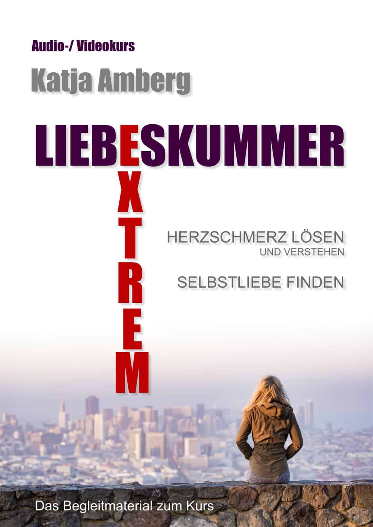 3D-Mockup Liebeskummer Extrem Kursbox mit vertikaler Anordnung