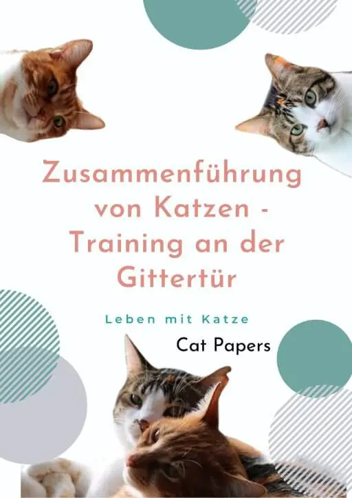 Infografik Zusammenführung von Katzen Training an der Gittertür mit zwei Katzenköpfen