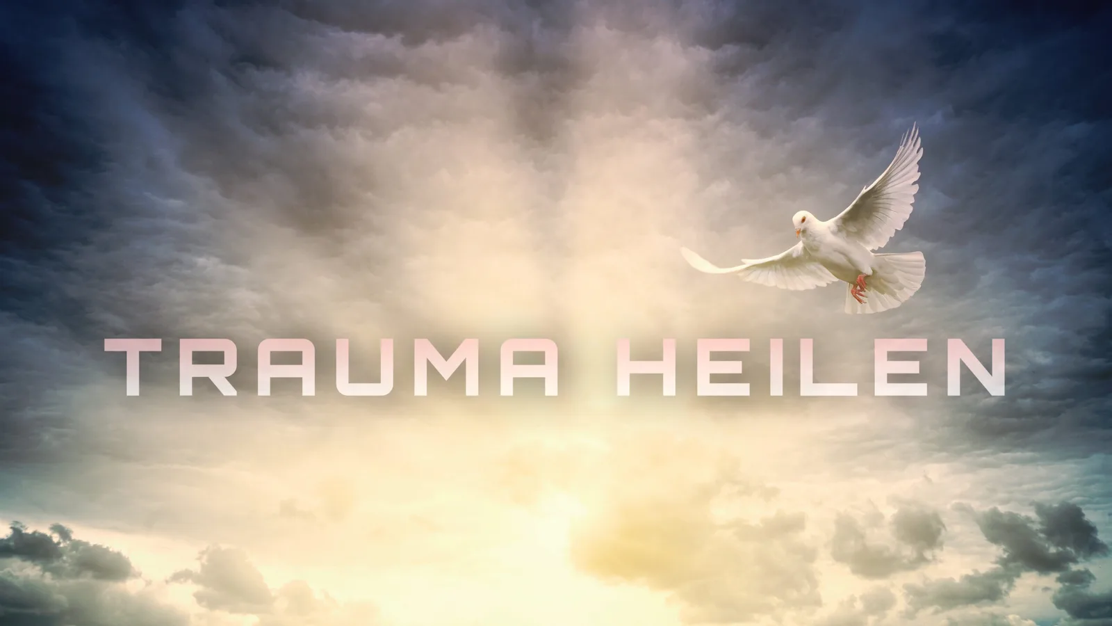 Weiße Taube fliegt vor dramatischem Himmel, Text: TRAUMA HEILEN