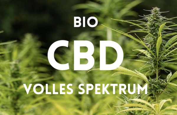 Bio CBD Vollspektrum Produkt Banner mit grüner Hanfpflanze als Hintergrund