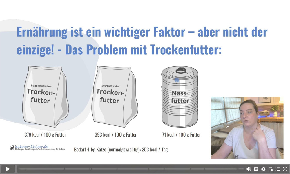 Videostandbild aus Kursvideo über Trockenfutter bei Katzen mit Grafik zu Kaloriengehalt und Dozentin