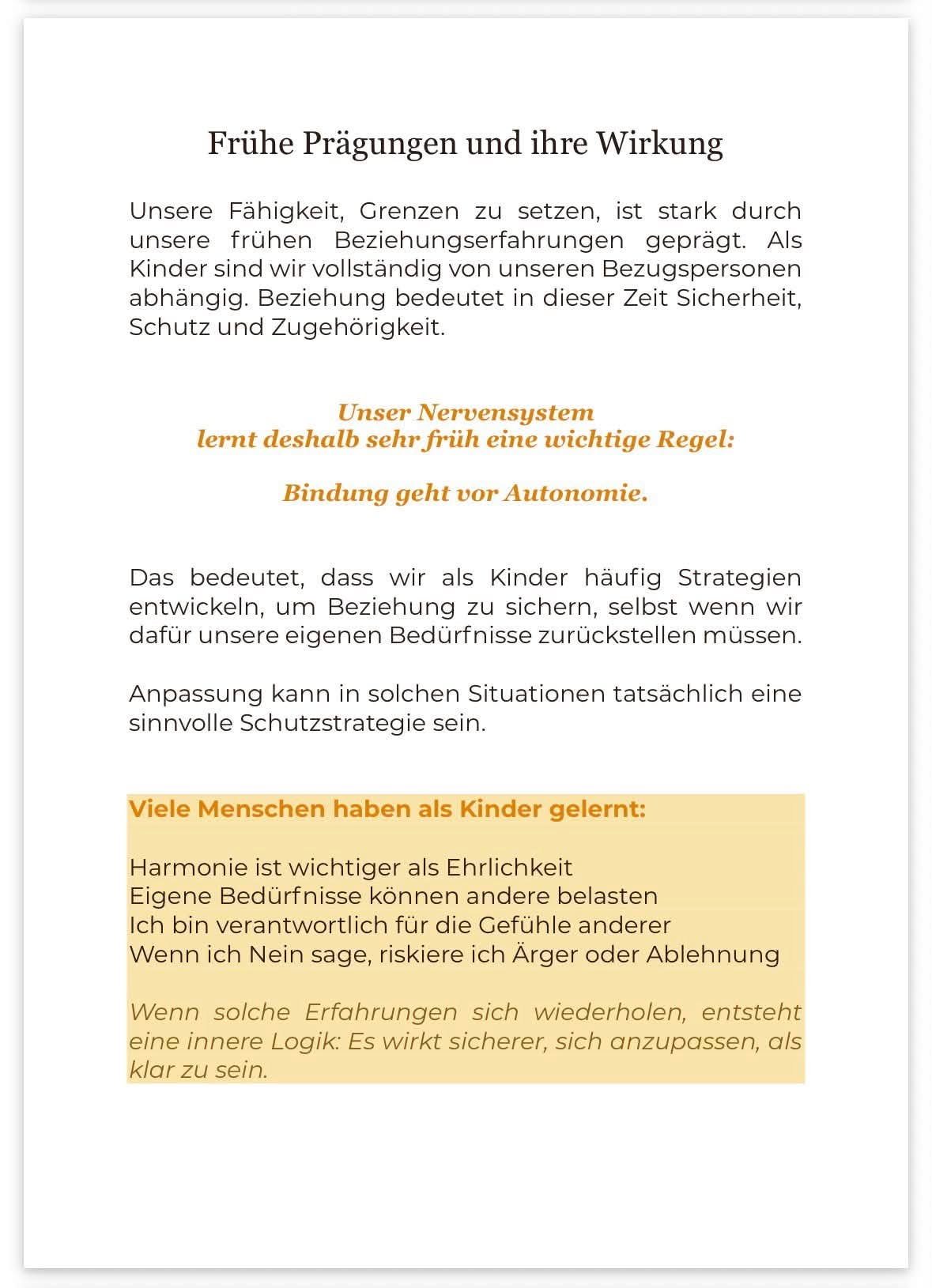Leseprobe aus Übergriffigkeit erkennen und sicher reagieren E-Book mit Textseite