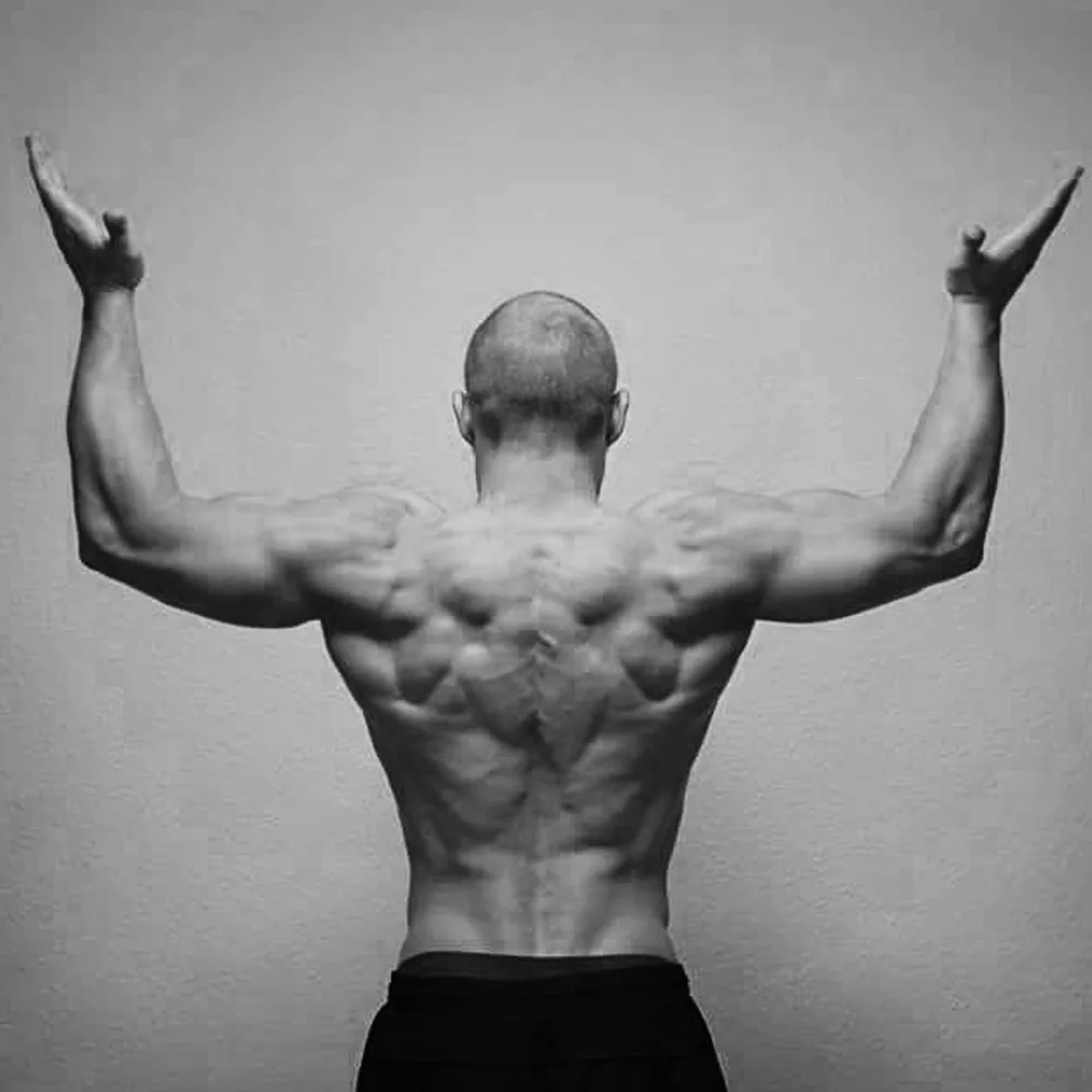 Muskulöser Mann von hinten mit erhobenen Armen – Fitnessergebnis