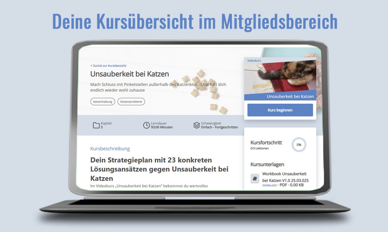 Laptop zeigt Kursübersicht Unsauberkeit bei Katzen im Mitgliedsbereich