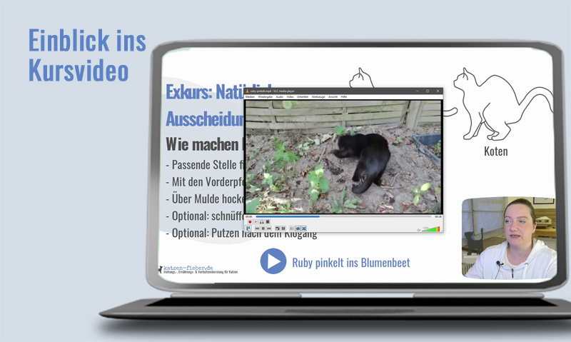 Laptop mit Kursvideo-Screenshot Einblick Unsauberkeit Kurs